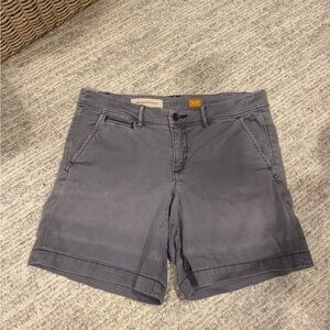 Anthropologie Gray/Blue Women's Shorts